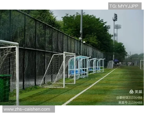 辽宁足球公园：探索足球文化与社区互动的新地标